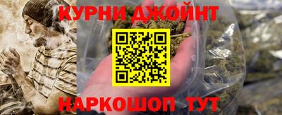 тгк Кингисепп
