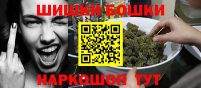 тгк Кингисепп