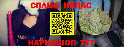 тгк Кингисепп