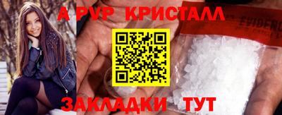 тгк Кингисепп