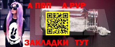 тгк Кингисепп