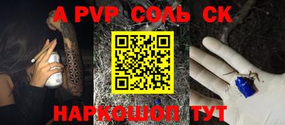 тгк Кингисепп