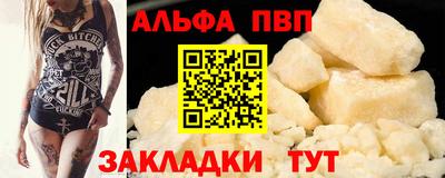 тгк Кингисепп