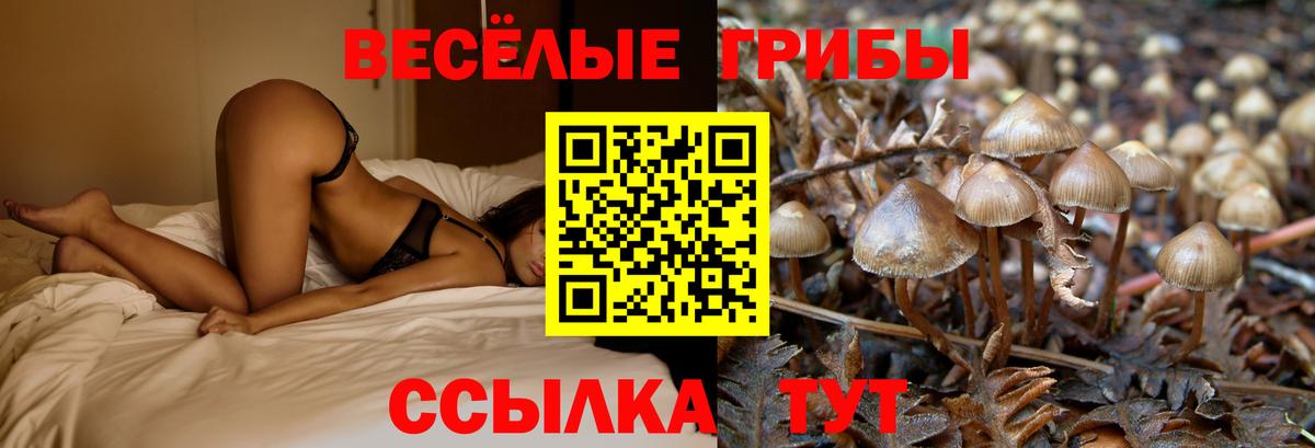 Галлюциногенные грибы Magic Shrooms Ялуторовск
